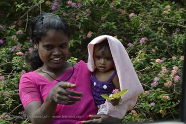 On Route to Ooty_DSC5200_H600